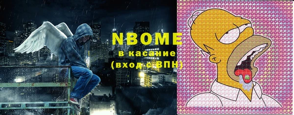 прущие грибы Дмитров