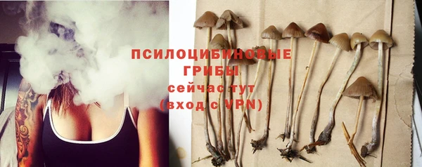 метадон Гусев