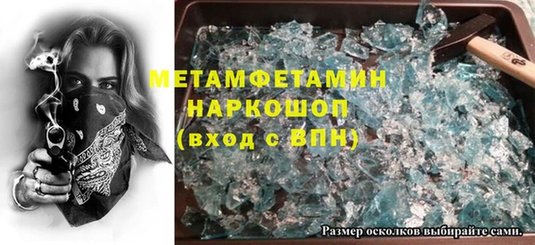 прущие грибы Дмитров