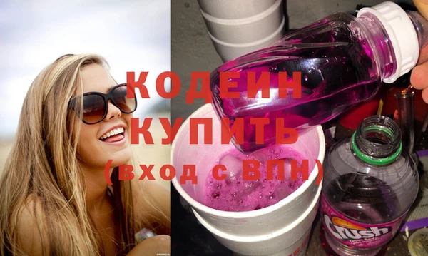 прущие грибы Дмитров