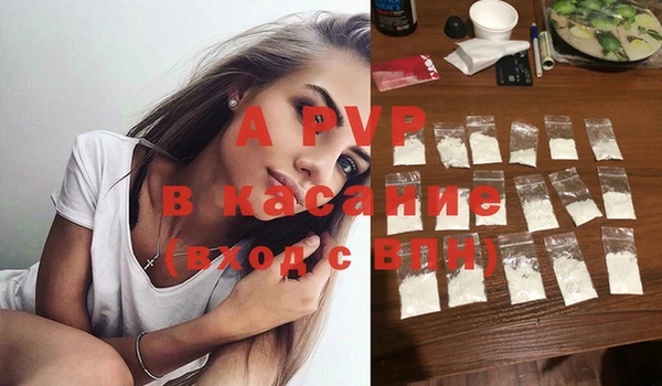 прущие грибы Дмитров