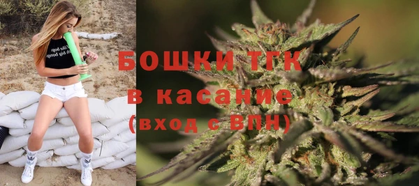 метадон Гусев