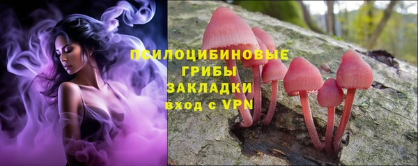 а пвп мука Гусь-Хрустальный