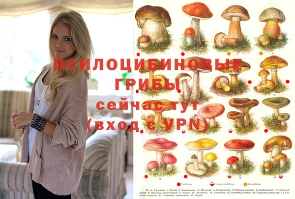 кокс Дмитровск