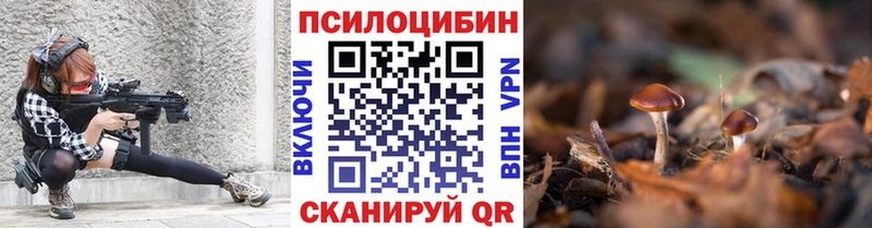 Галлюциногенные грибы MAGIC MUSHROOMS  Купить закладки  Железногорск-Илимский 